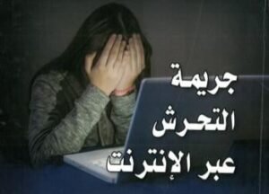 كيف تستخدم النساء الإنترنت